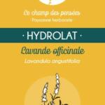 Lavande officinale - Le champ des pensées