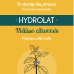 Mélisse citronnée - le champ des pensées