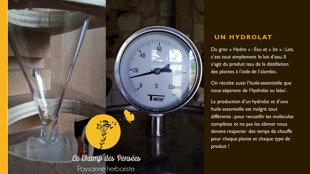 Présentation_hydrolat1_lechampdespensees