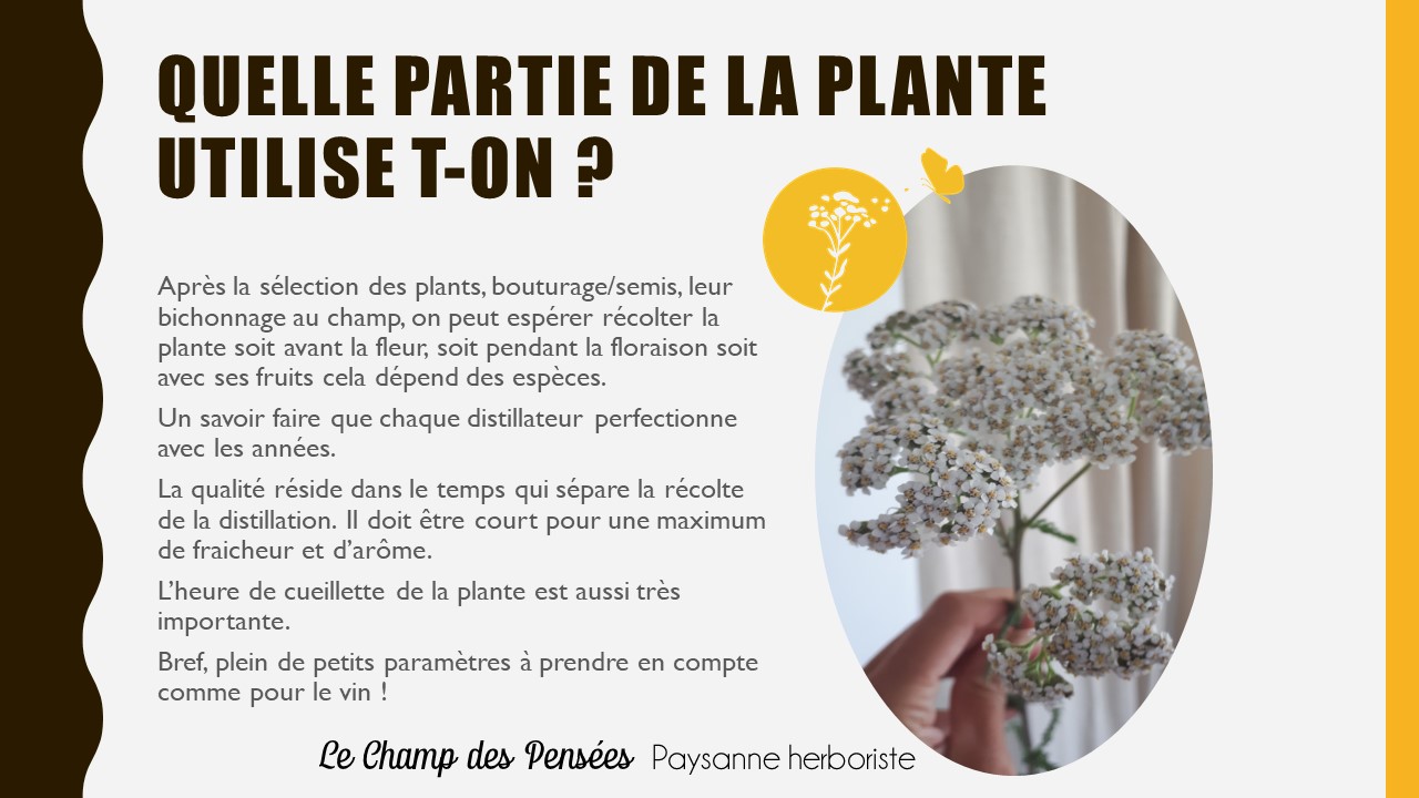 Présentation_hydrolat1_lechampdespensees