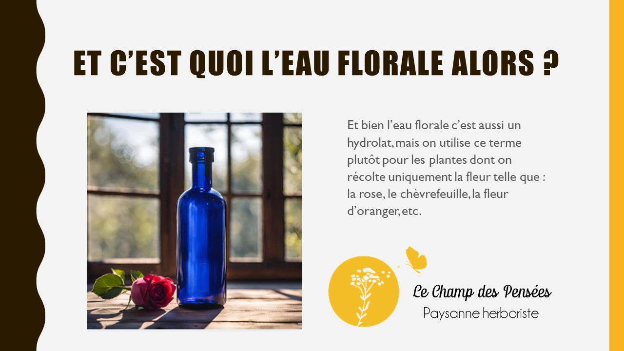 Présentation_eauflorale1_lechampdespensees