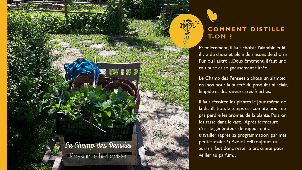 Présentation_eauflorale1_lechampdespensees