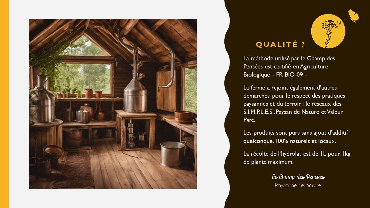Présentation_eauflorale1_lechampdespensees