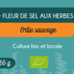 ortie sauvage_LCDP