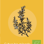 Etiquette_sirop_romarin_LCP