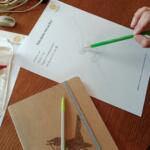 Atelier Dessin botanique