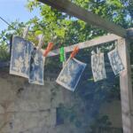 Atelier Cyanotype