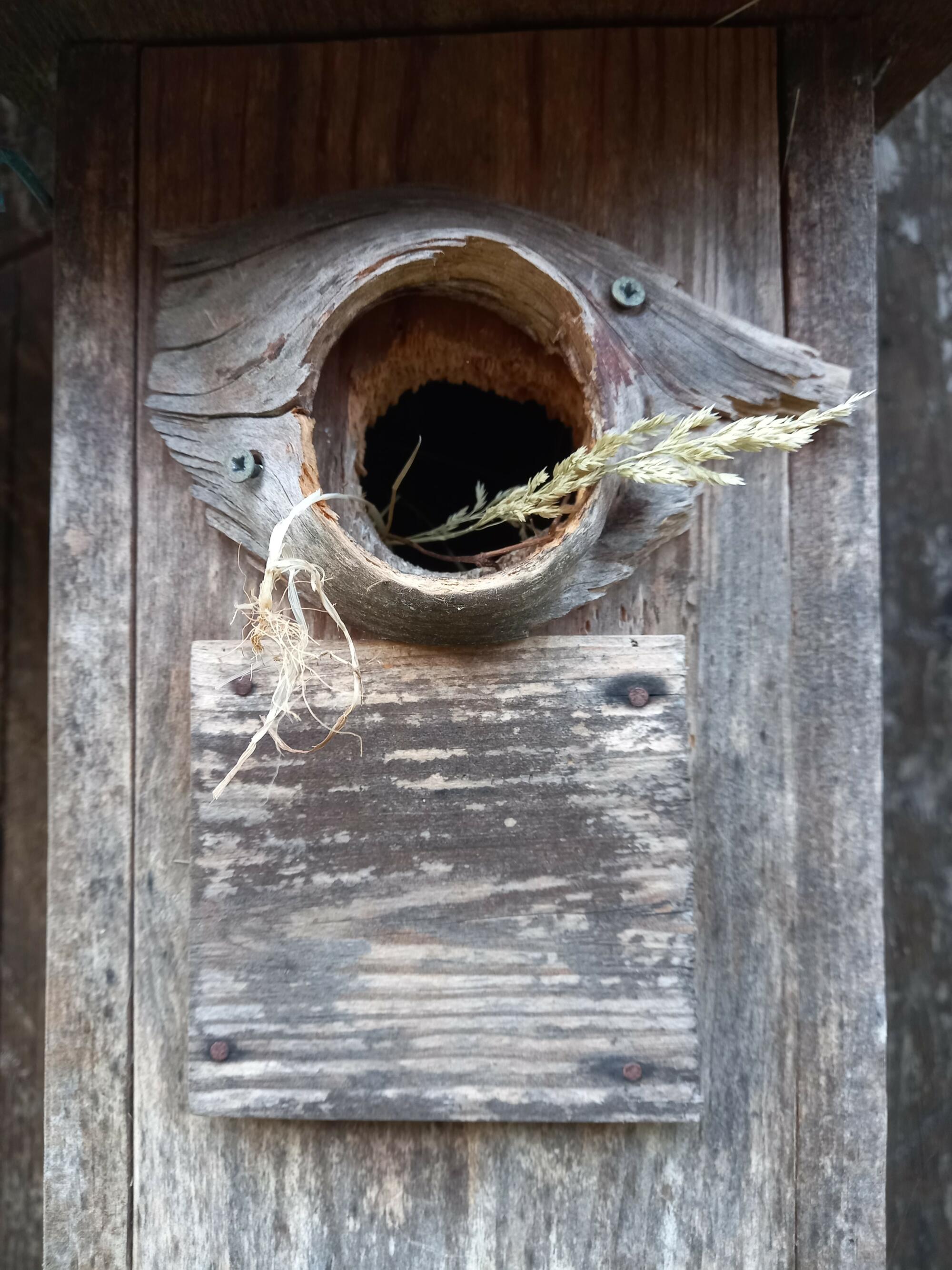 Nichoir_lechampdespensees