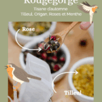 Tisane bio - Rougegorge