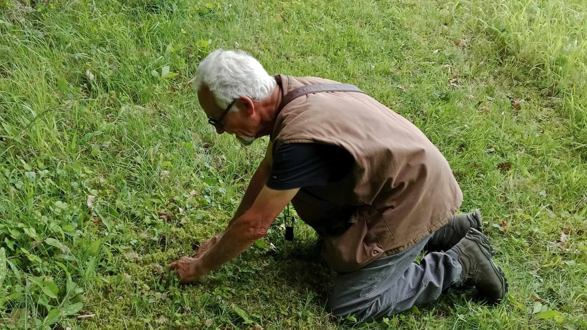 Naturaliste en pleine recherche