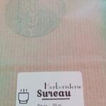 Sureau - Fleurs